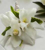 The FTD� White Mini Cymbidium Boutonniere