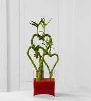 Be Still My Heart Valentine Bamboo - Best