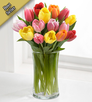 Rush of Color Assorted Tulip Bouquet with FREE Vase - 15 Stems
